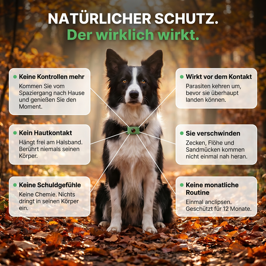 Natürlicher Zeckenschutz Anhänger für Hunde