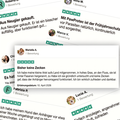 Natürlicher Zeckenschutz Anhänger für Hunde