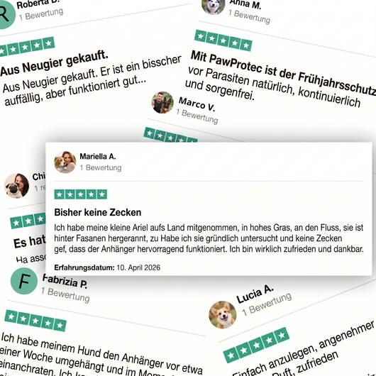 Natürlicher Zeckenschutz Anhänger für Hunde